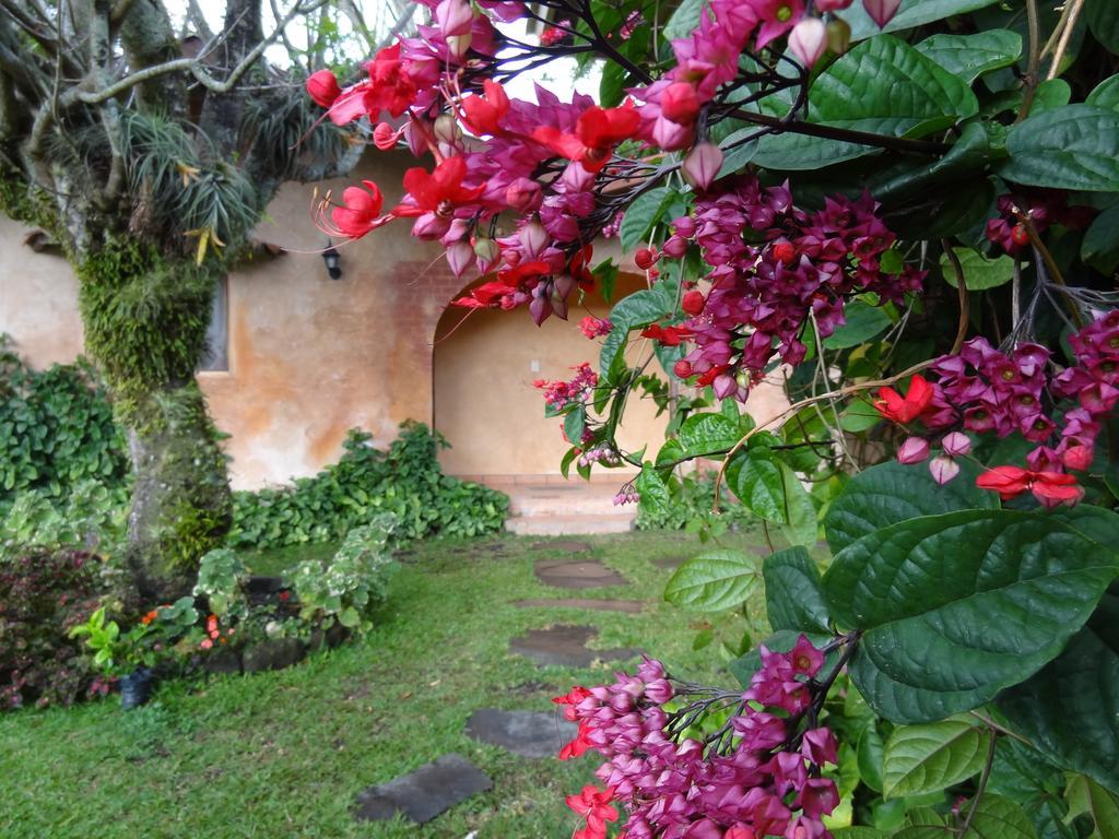 Valle Primavera Hotel Boquete Eksteriør billede